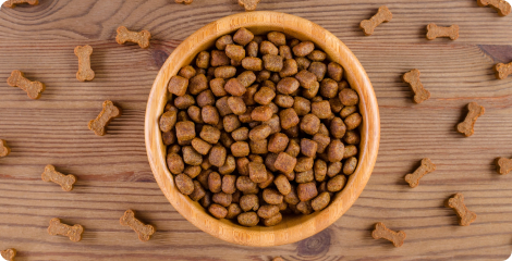 Understanding Grain-Free