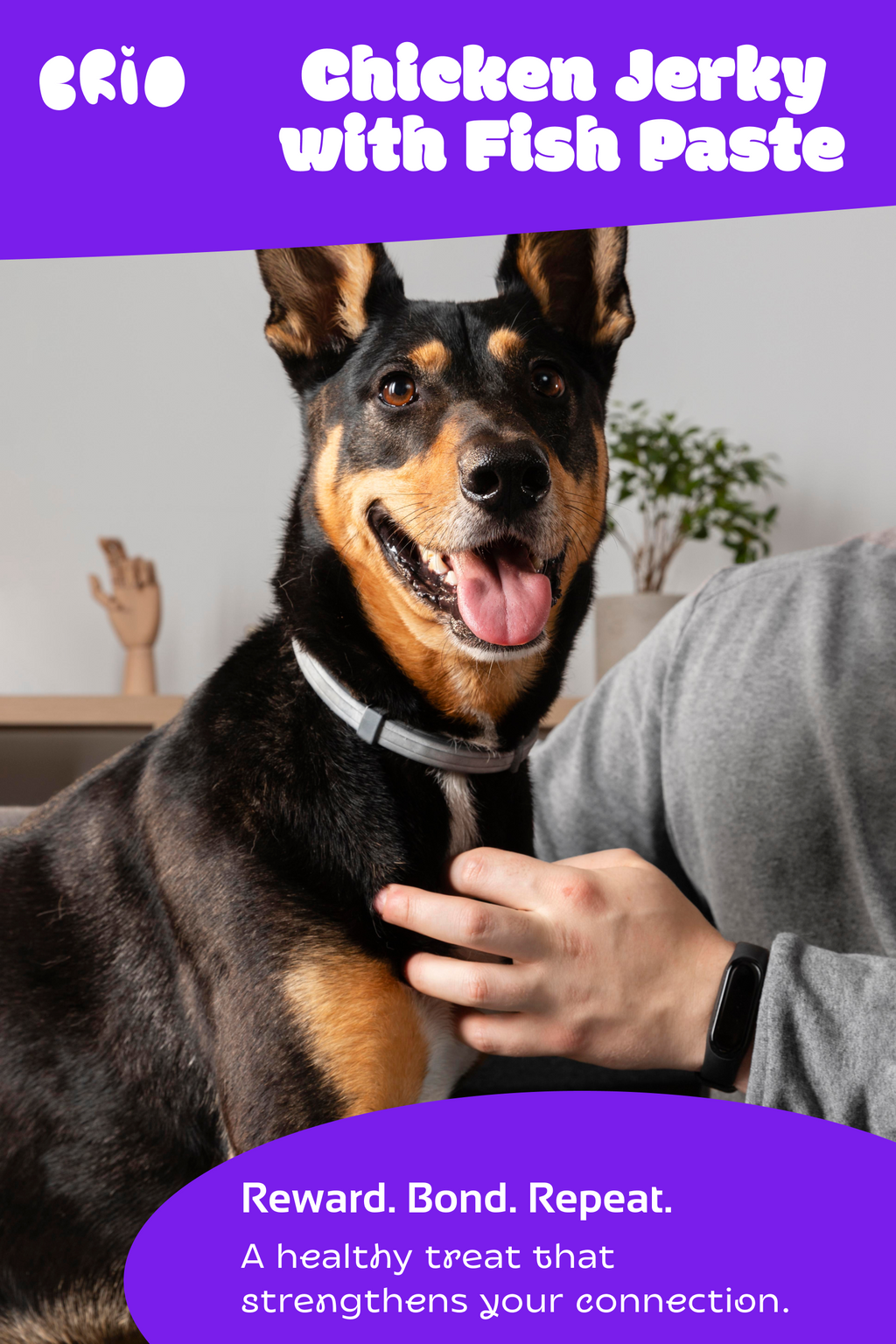 Chicken Jerky with Fish Paste