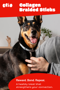 Buffalo Collagen Braided Stick